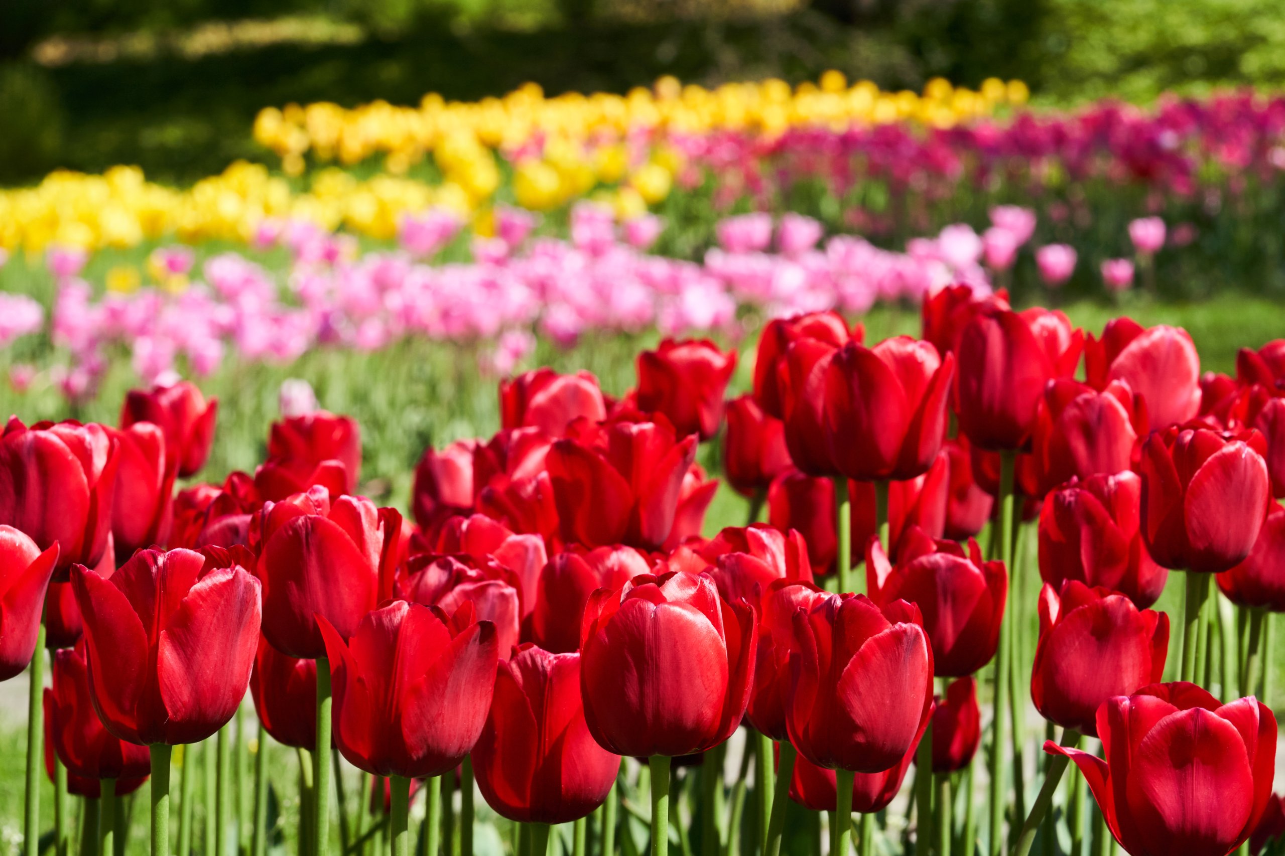 2022 05 08 Gruga 0260